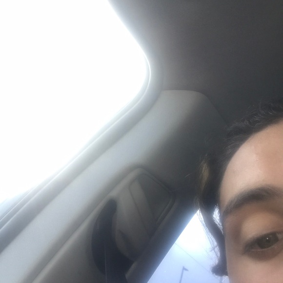 Meet your Posher, Lucas - Picture 1 of 1